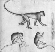 Apes (from the artist's sketchbook) c. 1430 - Antonio Pisano (Pisanello)