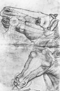 Study of Horse Heads 1433-38 - Antonio Pisano (Pisanello)