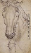 Study of the Head of a Horse 1437-38 - Antonio Pisano (Pisanello)