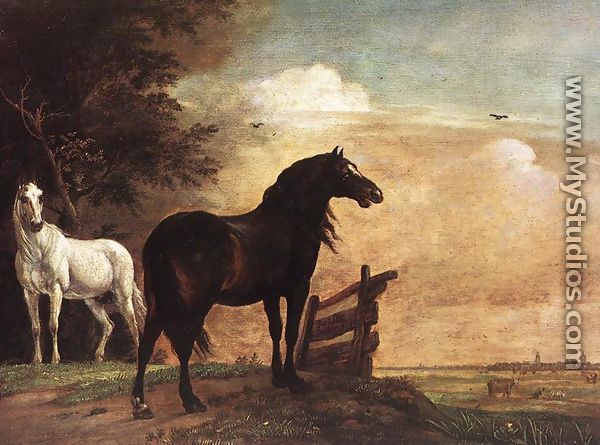 Horses in a Field - Paulus Potter