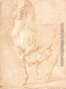 Study of a Horse - Pierre Puget