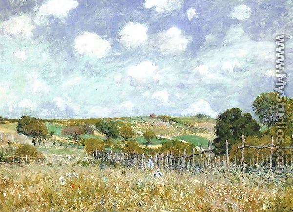 Meadow 1875 - Alfred Sisley