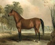 Bertrand, by Sir Archy 1830s - Edward Troye