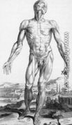 Anatomy 1543 - Andreas Vesalius
