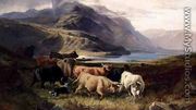 Highland Cattle with a Collie - Joseph Adam