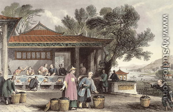 The Culture and Preparation of Tea, from 