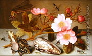 Still life depicting flowers, shells and a dragonfly - Balthasar Van Der Ast