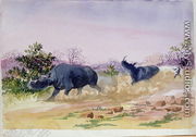 John Sawing's narrow escape from being run down by a couple of rhinoceros, north of the Makabie River, 1862 - Thomas Baines