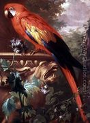 Scarlet Macaw in a Landscape - Jakab Bogdany