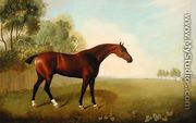 A Bay Horse in a Field, 1778 - John Boultbee