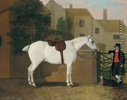 Picture of Jack, a favourite grey 1803 - John Boultbee