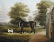 A Bay Horse with a Terrier 1845 - Thomas W. Bretland