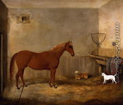 A Hunter and two dogs in a stable - Thomas W. Bretland