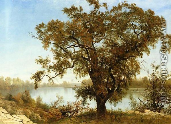 A View from Sacramento - Albert Bierstadt