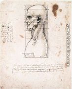 Male head in profile with proportions - Leonardo Da Vinci
