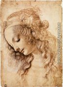 Woman's Head - Leonardo Da Vinci