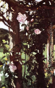 A Rose Trellis (Roses at Oxfordshire) - John Singer Sargent