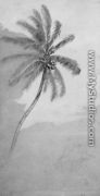 Palm Tree - Elihu Vedder