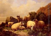 Sheep Grazing By The Coast - Eugène Verboeckhoven