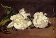 Branch Of White Peonies With Pruning Shears - Edouard Manet