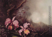 Two Orchids in a Mountain Landscape - Martin Johnson Heade
