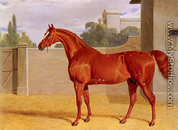 "Comus" A Chestnut Racehorse in a Stable Yard - John Frederick Herring Snr
