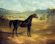 The Bay Stallion Jack Spigot - John Frederick Herring Snr