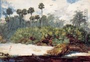 In a Florida Jungle - Winslow Homer
