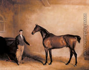 Mr. C. N. Hogg's Claxton and a Groom in a Stable - John Ferneley, Snr.