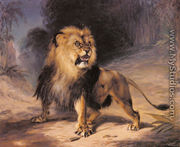 A Lion - William John Huggins