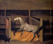 A Dappled Grey In A Stall - Francis Sartorius