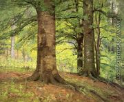 Beech Trees - Theodore Clement Steele