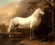 A Grey Arab Stallion In A Landscape - Jan Wyck