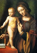 The Virgin And Child With A Columbine - Bernardino Luini
