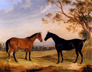 Two Mares In A Landscape - William Webb