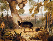Musk Deer, And Birds Of Paradise - William Daniell, R. A.