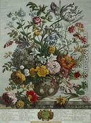 May, from 'Twelve Months of Flowers' - Pieter Casteels