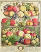 September, from 'Twelve Months of Fruits' - Pieter Casteels