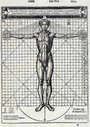Ideal proportions based on the human body, from 'Di Lucio Vitruvio Pollione de architectura a libri dece' - Cesare di Lorenzo Cesariano