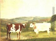 Cattle against a Landscape, 1863 - W. J. Chapman