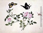 Roses in Bud and Bloom with Butterflies and Insects - Chinese School