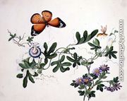Passion Flower and Butterfly - Chinese School