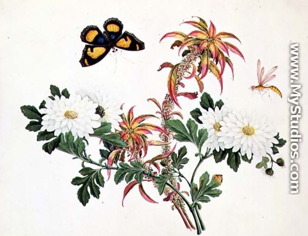 Two Stems of Amaranthus and Chrysanthemum with a Wasp and a Butterfly - Chinese School