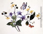 Flower Study and Insects - Chinese School