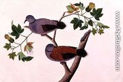 Birds in a tree, from 'Drawings of Birds from Malacca', c.1805-18 - Chinese School