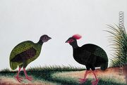 The Hen and the Cock, Sie-ole, from 'Drawings of Birds from Malacca', c.1805-18 - Chinese School