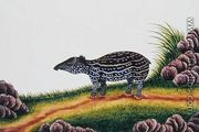 Young Tapir of Malacca, from 'Drawings of Animals, Insects and Reptiles from Malacca', c.1805-18 - Chinese School
