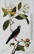 Brangan Chestnut, Pooney Tanah, from 'Drawings of Birds from Malacca', c.1805-18 - Chinese School