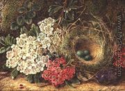 Still life with bird's nest - George Clare