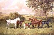 A Group of Ponies - Frederick Albert Clark